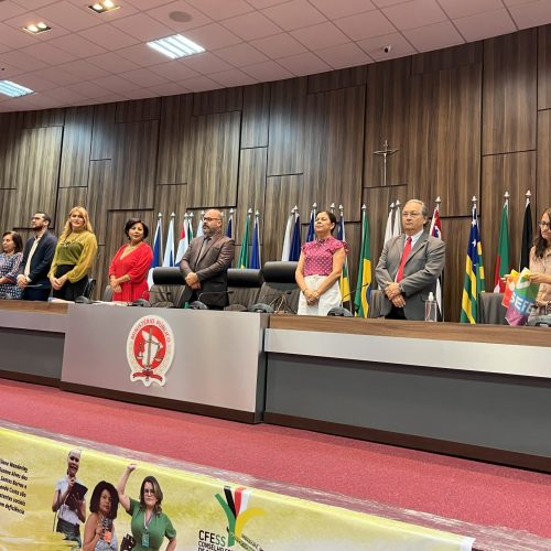 Centenas de Assistentes Sociais se reúnem para celebrar e debater o Anticapacitismo
